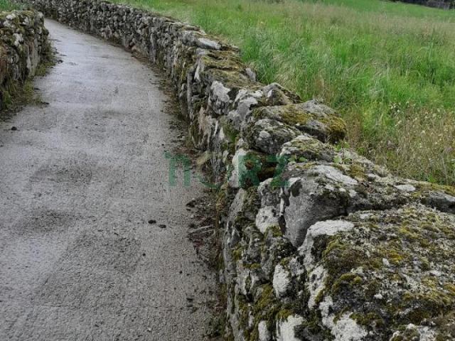 Terreno en venta en Coles, Ourense