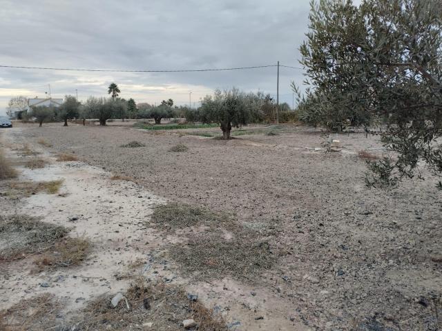 Terreno en venta en El Rincón, Alto Guadalentín