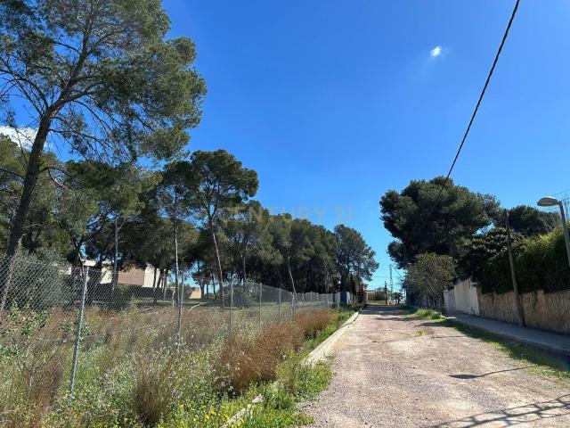 Terreno en venta en la Canyada, l'Horta Nord