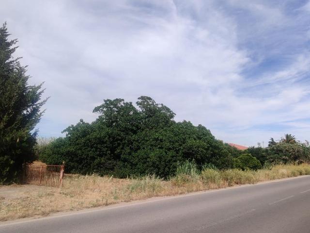 Terreno en venta en Almensilla, Andalucía