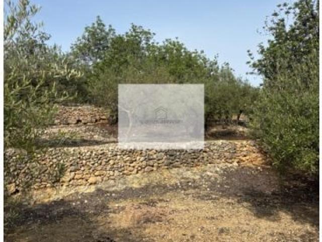 Casa en venta en Baix Ebre, Catalunya
