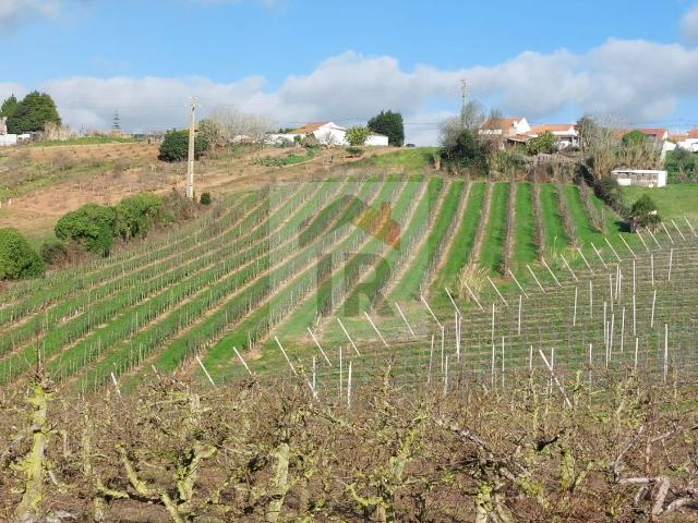 Terreno venda em Carvalhal Benfeito, Caldas Da Rainha