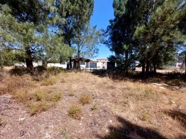 Terreno venda em Azeitão (São Lourenço e São Simão), Setúbal