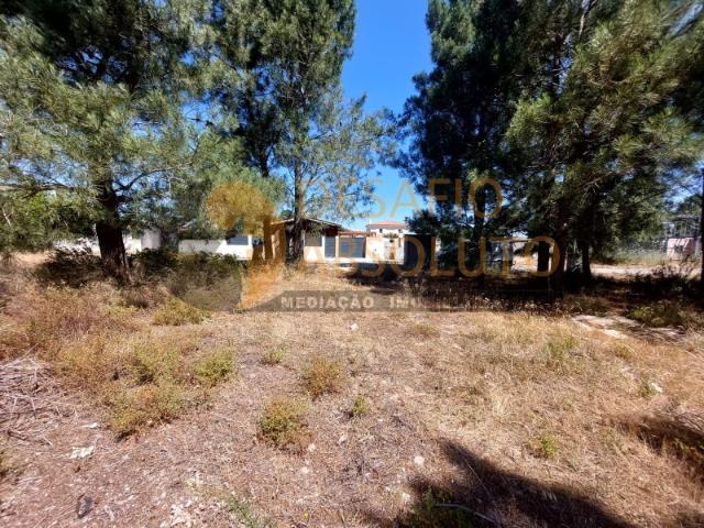Terreno venda em Azeitão (São Lourenço e São Simão), Setúbal