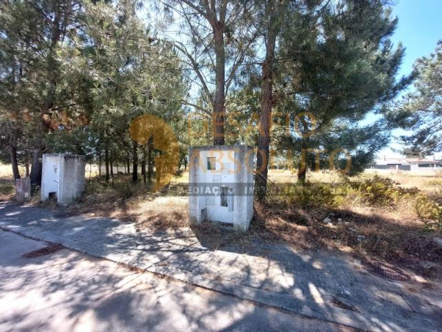Terreno venda em Azeitão (São Lourenço e São Simão), Setúbal