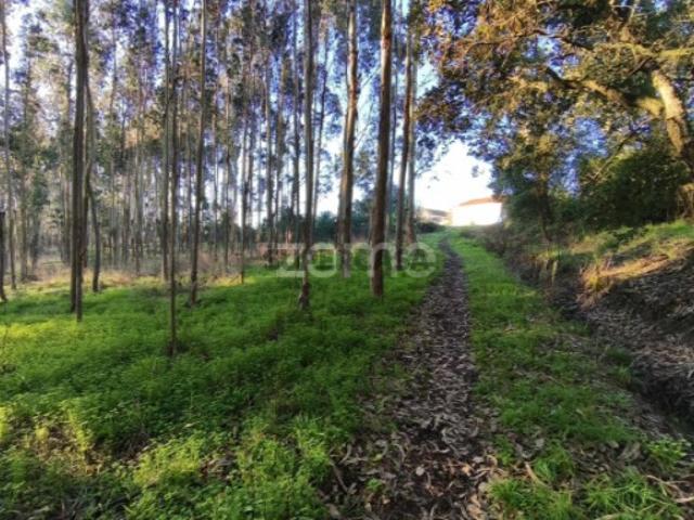 Terreno venda em Pedralhos, Alcobaça