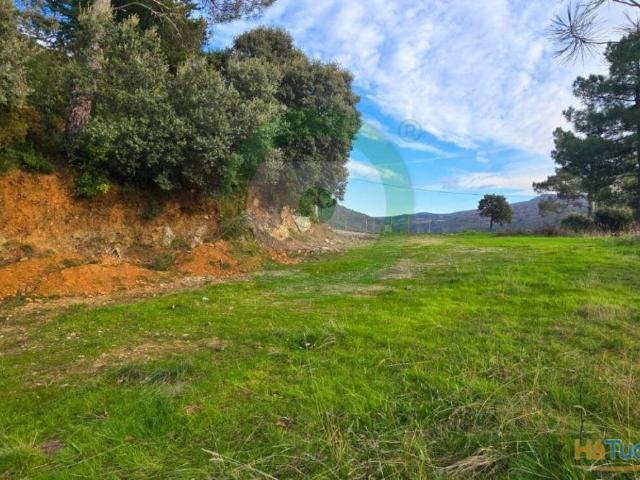 Terreno venda em Edroso, Bragança