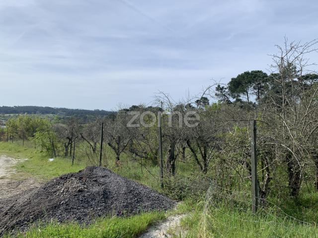 Terreno venda em Faíl e Vila Chã de Sá, Viseu