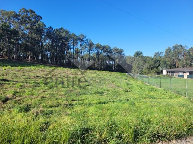 Terreno venda em Lagoa, Valença