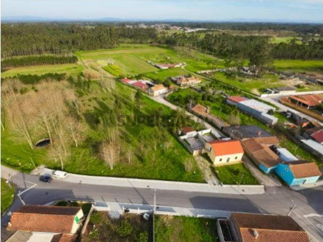 Terreno venda em Cantanhede, Coimbra