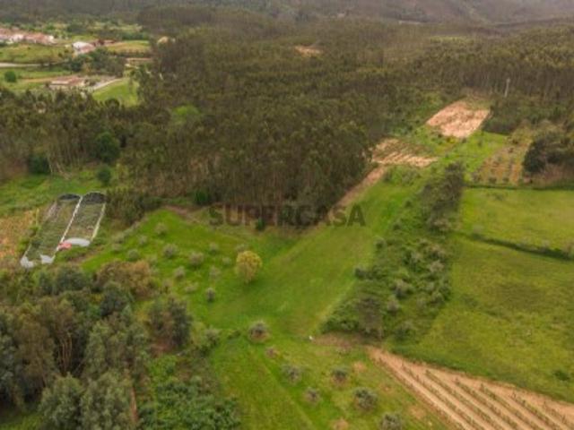 Terreno venda em Penacova, Coimbra