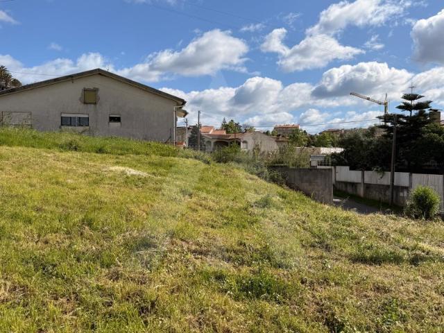 Terreno venda em Barro, Águeda