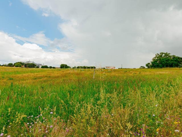 Terreno venda em Coruche, Santarém