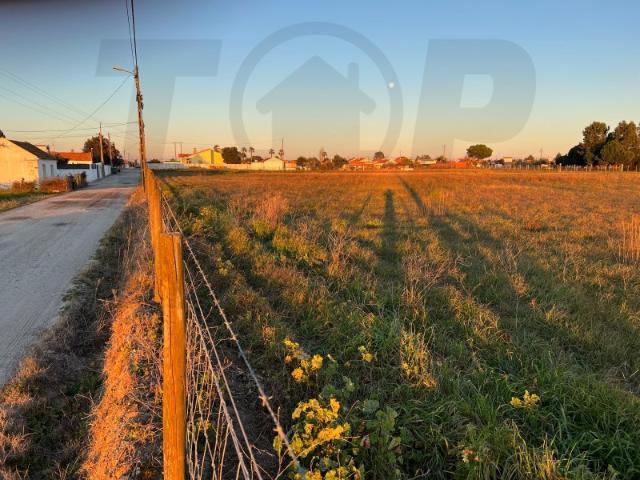 Terreno venda em Salvaterra De Magos, Santarém