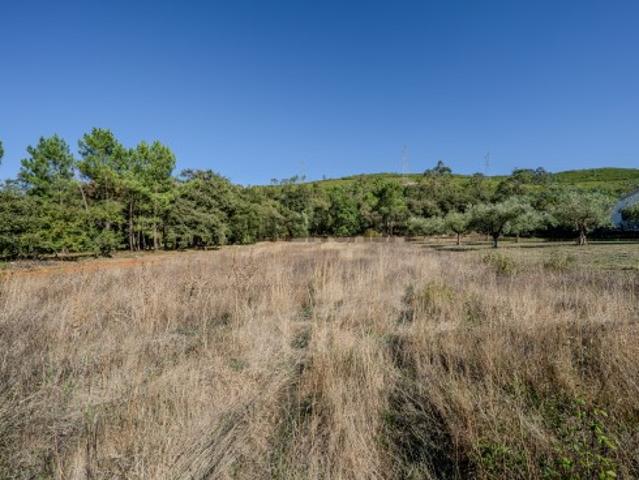 Terreno venda em Porto De Mós, Leiria