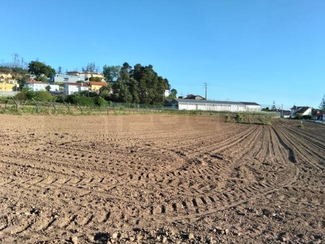 Terreno venda em Albergaria-a-velha, Aveiro