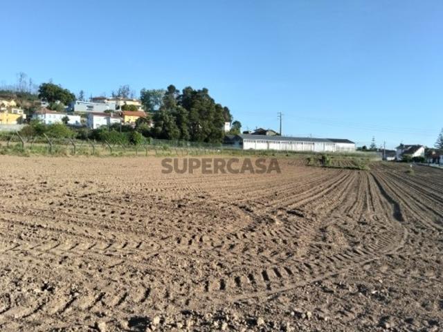 Terreno venda em Albergaria-a-velha, Aveiro