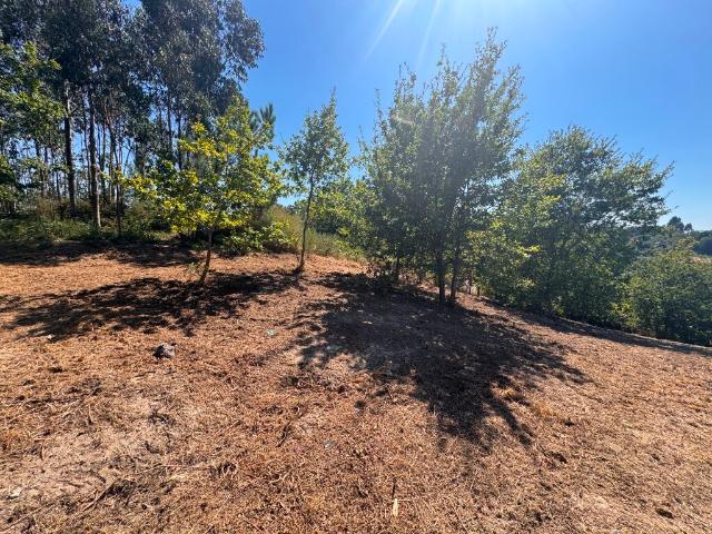 Terreno venda em Arcos De Valdevez, Viana Do Castelo