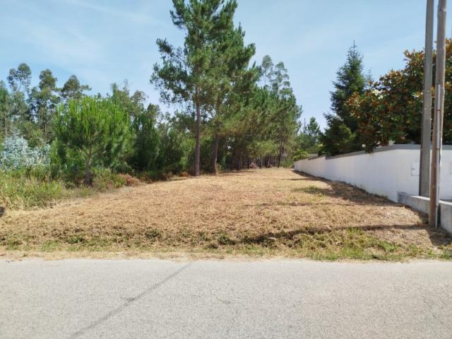 Terreno venda em Casal do Gaio, Montemor-o-velho