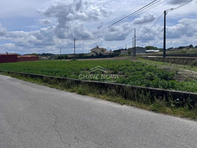 Terreno venda em Póvoa do Carreiro, Oliveira Do Bairro