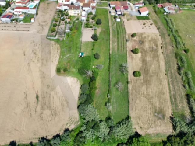 Terreno venda em Coimbrã, Coimbra