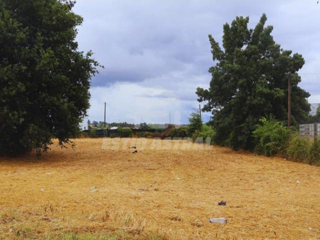 Terreno venda em Bitarães, Porto