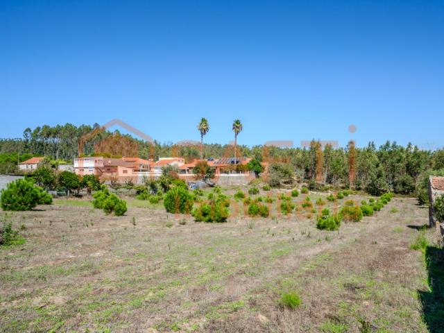 Terreno venda em Maceira, Leiria