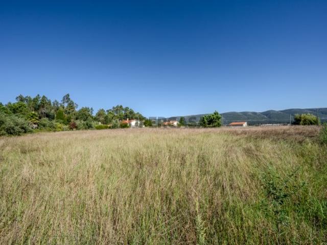 Terreno venda em Juncal, Porto De Mós
