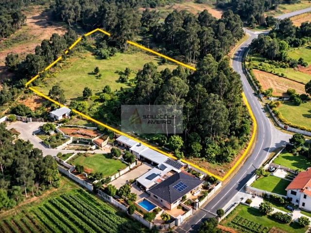 Terreno venda em Quinta do Morangal, Águeda