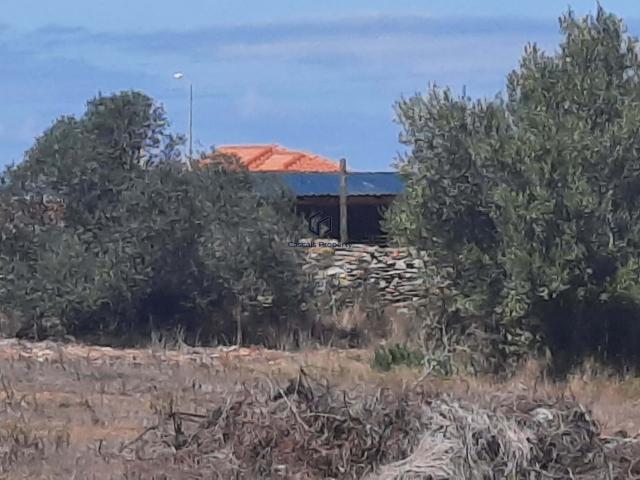 Terreno venda em Bolelas, Sintra