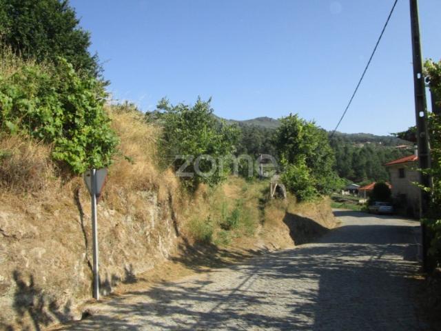 Terreno venda em Folhada, Várzea Ovelha E Aliviada