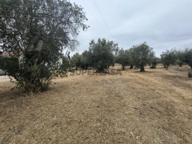 Terreno venda em Delongo, Tomar