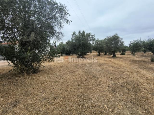 Terreno venda em Paialvo, Tomar