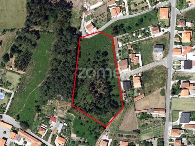 Terreno venda em Viana Do Castelo
