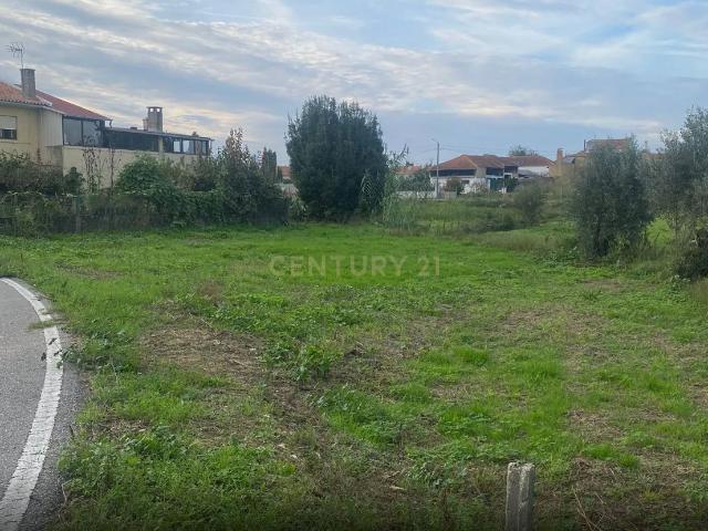 Terreno venda em Anadia, Aveiro