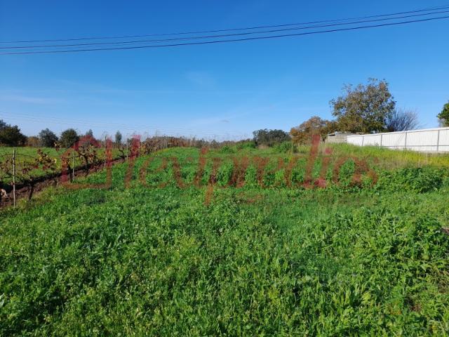 Terreno venda em Cavadas de Baixo, Águeda