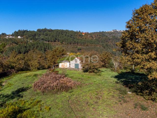 Terreno venda em Folhada, Várzea Ovelha E Aliviada