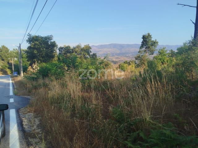 Terreno venda em Vila Mendo de Tavares, Mourilhe