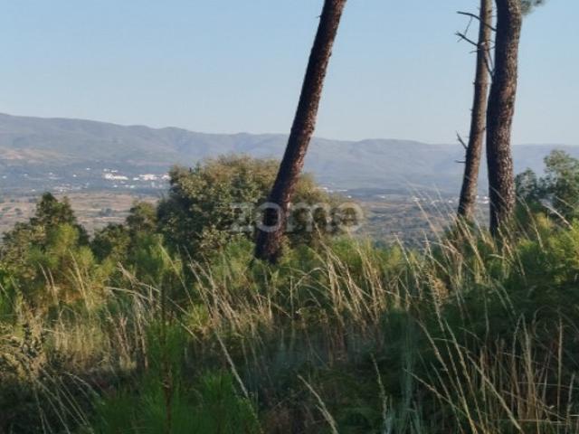 Terreno venda em Vila Mendo de Tavares, Mourilhe