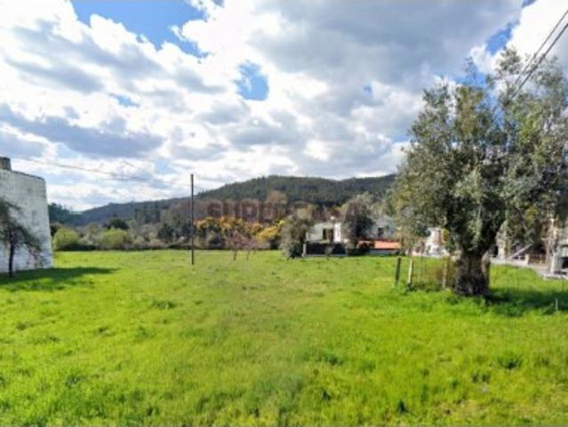 Terreno venda em Montoiro, Miranda Do Corvo