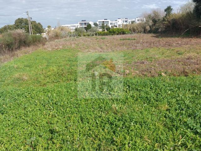 Terreno venda em Serralheira, Caldas Da Rainha