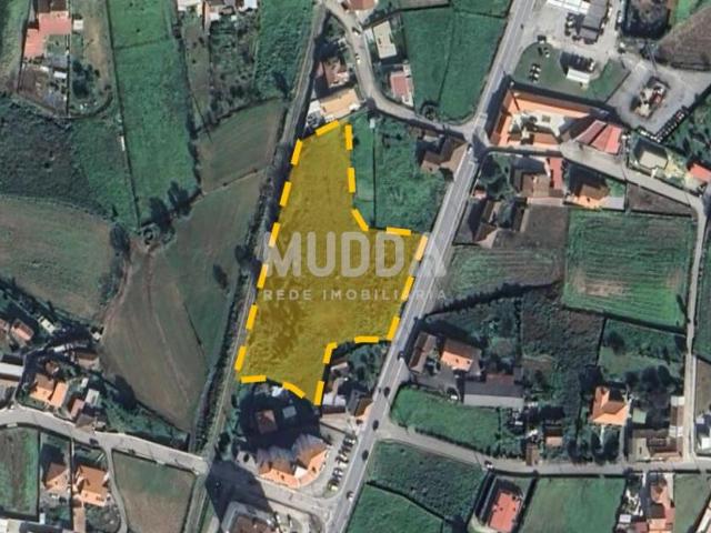 Terreno venda em Albergaria-a-velha, Aveiro