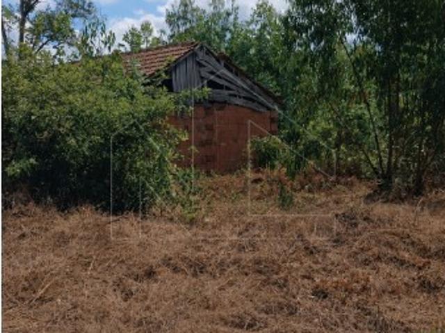 Terreno venda em Assilhó, Albergaria-a-velha