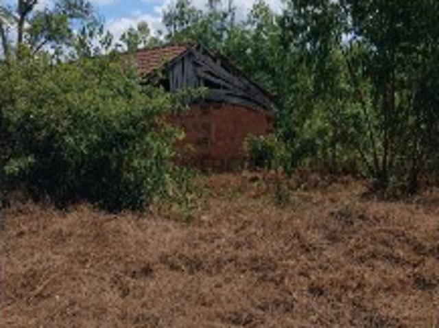 Terreno venda em Albergaria-a-velha, Aveiro