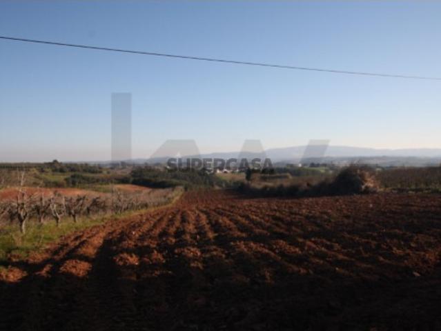Terreno venda em Bombarral, Boavista Terreno venda em Bombarral, Boavista