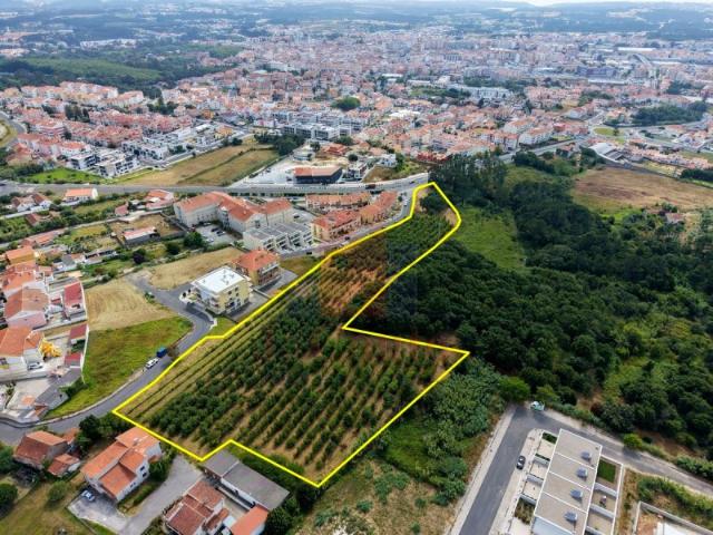 Terreno venda em Nossa Senhora do Pópulo, Caldas Da Rainha