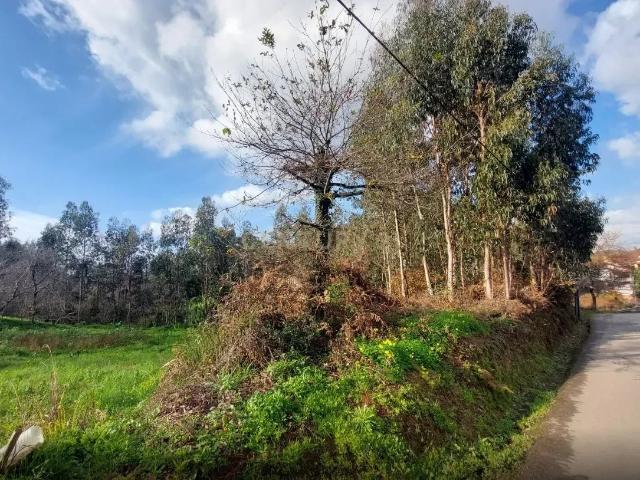 Terreno venda em Albergaria-a-velha, Aveiro