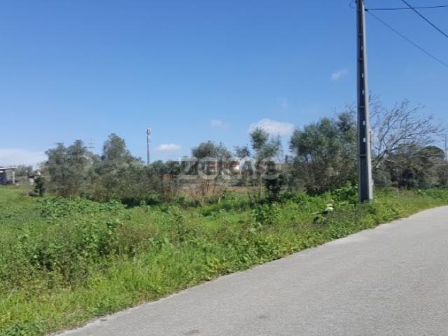 Terreno venda em Leiria