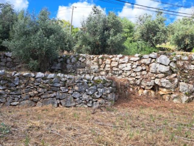 Terreno venda em Porto De Mós, Leiria