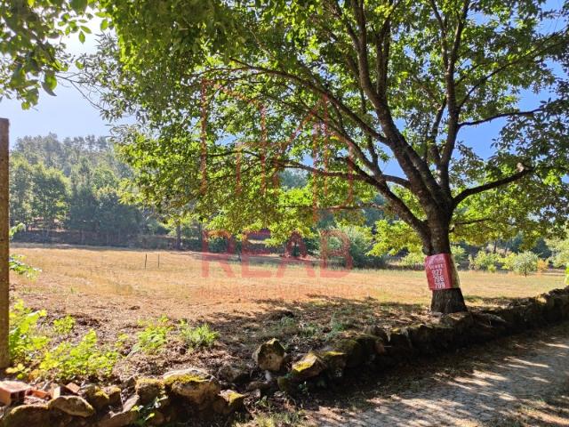 Terreno venda em Carregal, Viseu